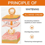 Vitamin C Face Cream Remove Dark Spots Whitening Care Moisturizing Anti-Aging Anti Wrinkle Firming Skin Care Cosmetics